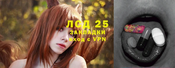 соль ск Алексин
