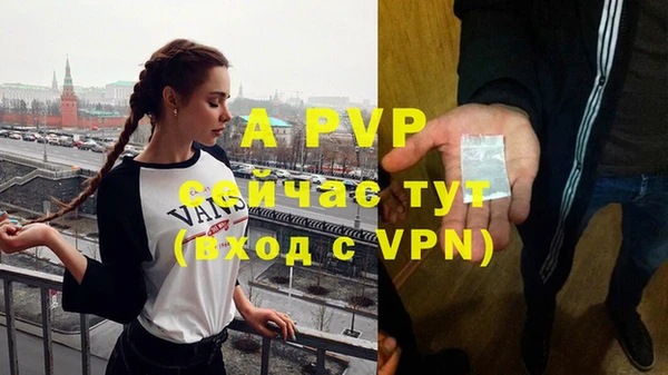 соль ск Алексин