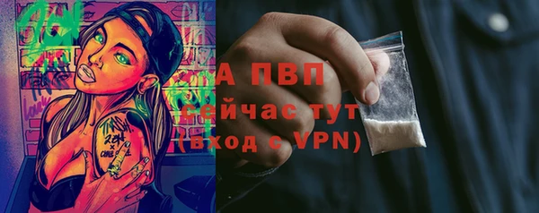 соль ск Алексин